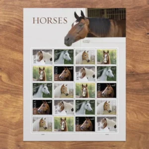 import placeholder for 31329