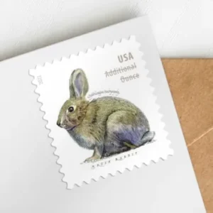 import placeholder for 31144