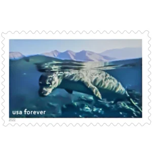 import placeholder for 29579