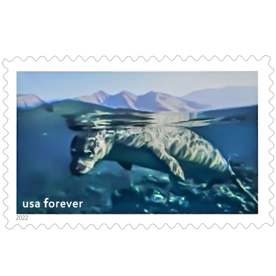 import placeholder for 29579 import placeholder for 29579