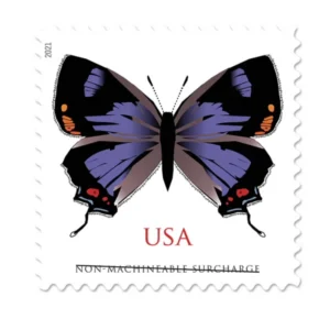 import placeholder for 29305
