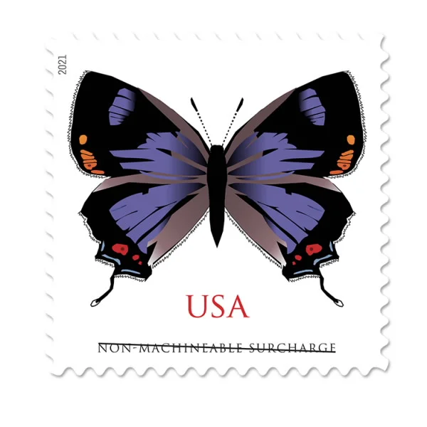 import placeholder for 29305 import placeholder for 29305